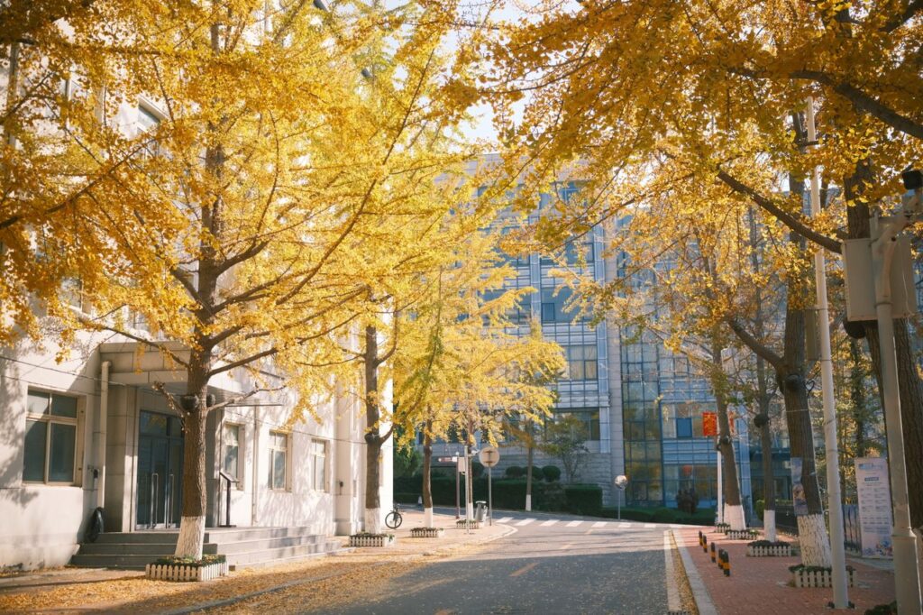 Plagas de otoño en Madrid